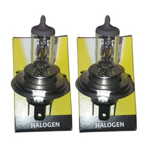 2 Ampolletas Flosser Germany H4 Halogen