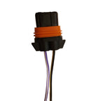 2 X Enchufe Sócate, Soquete para Ampolleta HB3, HB4, 905, 906, 9012, 9145 Cable Grueso Americano