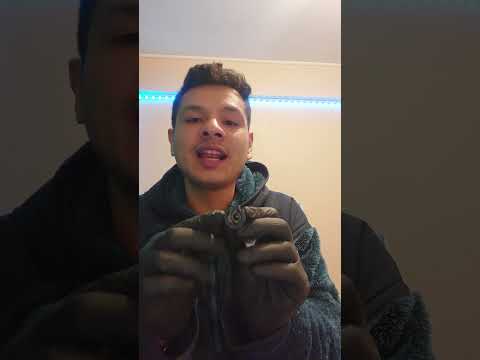 Conector Acople Rápido Recto Hembra Mangueras Combustible Universal Bencina y otros Combustibles 0.5cm